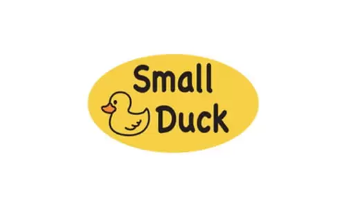 Small Duck
